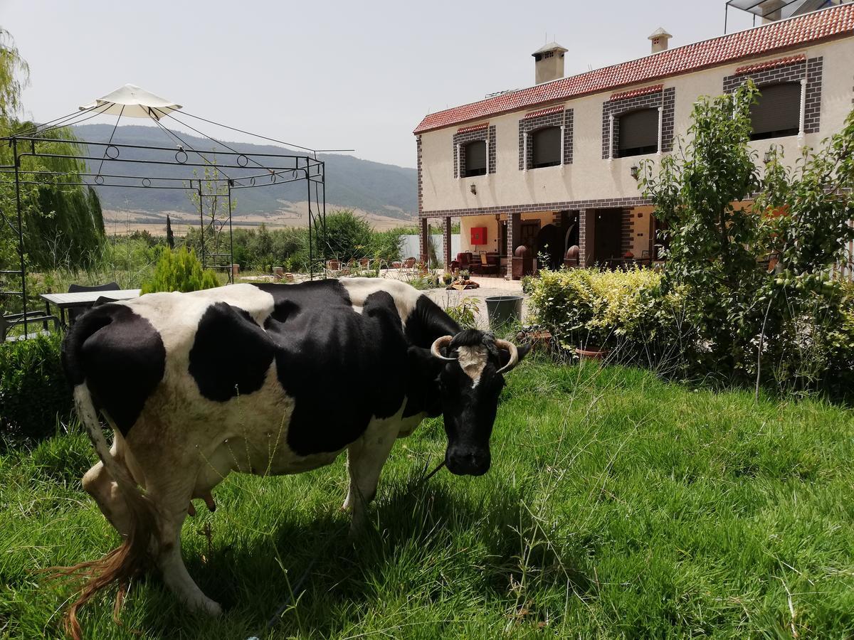 La Perle D'Ifrane Villa Azrou Ngoại thất bức ảnh
